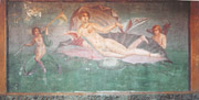 The large fresco representing Venus in the shell